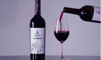 Hoomil Wine Bottle Opener Set Evaluation